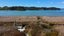 5389 State Highway 31, KAWHIA, Kawhia - Carousel 4