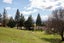 228A Earnscleugh Road, Earnscleugh, Alexandra - Carousel 7