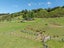 695F Chester Road, West Taratahi, Carterton - Carousel 22