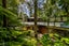 15 Tawini Road, Titirangi, Auckland - Carousel 26