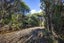14 LA TROBE TRACK, KareKare, Auckland - Carousel 9
