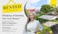 244 Konini Road, Titirangi, Auckland - Carousel 19