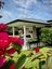 35 Teal Place, Pyes Pa, Tauranga - Carousel 1