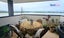 67 Haukore Street, Hairini, Tauranga - Carousel 3