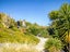 57 Roy Hilton Drive, Flagstaff, Hamilton - Carousel 5