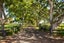 441 Taihoa Road, MATAMATA, Matamata - Carousel 25
