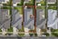 20 Treestump Road, Takanini, Auckland  - Carousel 13