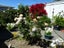 48 Birmingham Street, Takaro, Palmerston North - Carousel 13