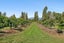 120 Patons Rock Road, Patons Rock - Carousel 40