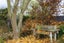 224 Union Street, Milton, Milton - Carousel 17