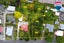 46 Keepa Street, Levin, Levin - Carousel 1