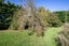 109 Marshalls Road, Springston, Christchurch - Carousel 44