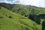 0 Kopikopiko Rd, Pahiatua - Carousel 24