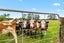 331 South Head Road, Helensville - Carousel 3