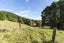 27 Hukerenui Road, Hikurangi - Carousel 24