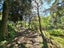 199 Parihauhau Road, Parikino, Whanganui - Carousel 19