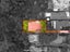37A Hendry Avenue, Hillsborough, Auckland - Carousel 25