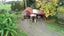 0 Wharekawa Road, Oue, Kaikohe - Carousel 14