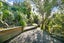 193 Buckley Road, Southgate, Wellington - Carousel 14