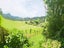 1123 State Highway 12, Oue, Kaikohe - Carousel 27