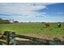 1724 Springs Road, Christchurch - Carousel 12