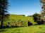 0 Ruatiti Rd, Ruatiti - Carousel 6