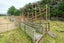 193 Kerrytown Road, Kerrytown - Carousel 15