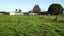 131 Pairatahi Road, Kaingaroa - Carousel 4