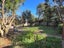31 Elizabeth Street, Riversdale, Blenheim - Carousel 3
