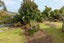 4 Blunt Road, Te Kauwhata, Te Kauwhata - Carousel 18