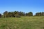 9 Moore Road, Thornton, Whakatane - Carousel 45