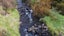 333 Little Akaloa Road, Little Akaloa, Akaroa - Carousel 7