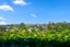 128A Kohimarama Road, Kohimarama, Auckland - Carousel 39