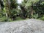 57 Tainui Road, Titirangi, Auckland - Carousel 12