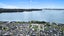 11 Habitat Place, Hobsonville, Auckland - Carousel 17