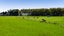 724 Ararata Road, Hawera - Carousel 47