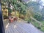 9A Beaumont Crescent, Frankleigh Park, New Plymouth - Carousel 2