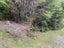 11 Nikau Street, Duncan Bay, Marlborough Sounds - Carousel 5