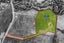 0 Waiuku Road, Puni, Pukekohe - Carousel 9