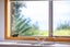 628 Thames Coast Sh25 Road, WAIOMU, THAMES - Carousel 19