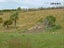 136 Akatore Road, Taieri Beach, Taieri Mouth - Carousel 5