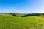 0 Mahuta Rd, Mahuta, Dargaville - Carousel 8