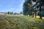 456 State Highway 49, Tangiwai - Carousel 21