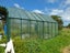 65 Glue Pot Road, Oropi, Tauranga - Carousel 24