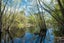 85 Enfield Drive, Pakipaki, Hastings - Carousel 15