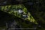 274 Forest Hill Road, Waiatarua, Auckland - Carousel 41