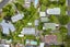 33 Waimai Avenue, Weymouth, Auckland - Carousel 22