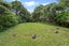17 Welsh Hills Road, Swanson, Auckland - Carousel 23