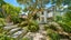 2/8 Maunganui Road, Birkenhead, Auckland - Carousel 1