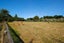 30 Wilks Road, Dairy Flat, Albany - Carousel 2
